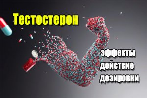 Тестостерон