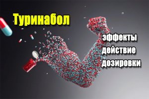 Туринабол Туринабол
