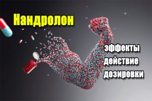Нандролон 