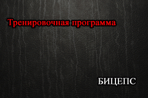 Тренировочная программа для бицепса