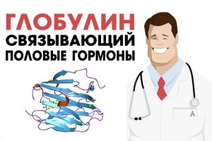 глобулин связывающий половые гормоны