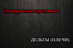 Программа тренировок для Плеч