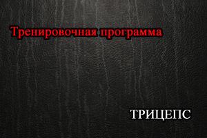 Тренировочная программа для трицепса